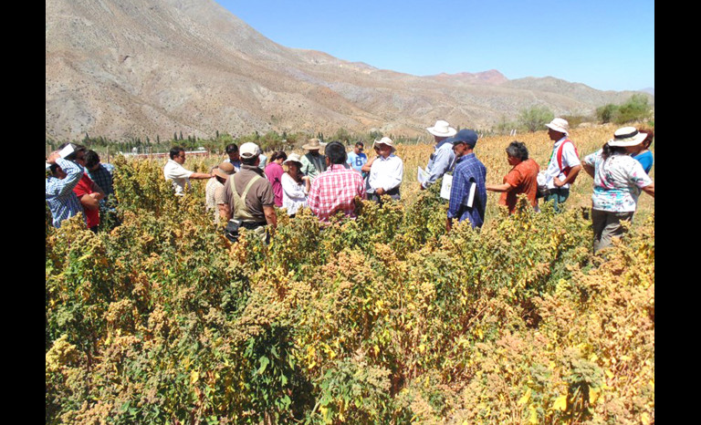 Quinoa, Rio Hurtado, CEAZA