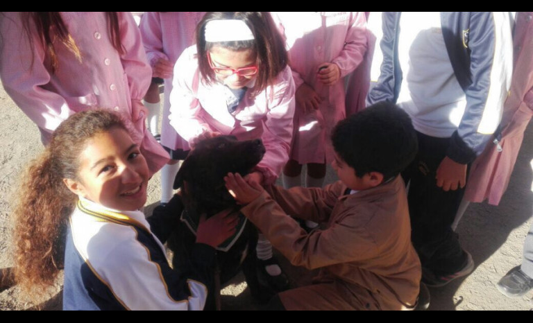 Hace unos días Napoleón y Homero visitaron el Colegio Amalia Errázuriz para realizar su primera presentación en sociedad. Los alumnos tuvieron tiempo para compartir con ellos.