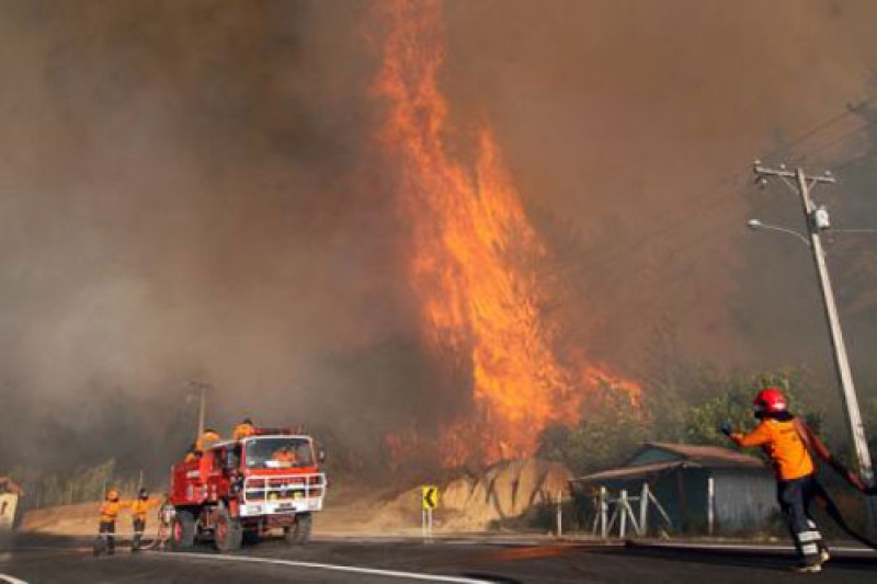 INCENDIO SURE DE CHILE