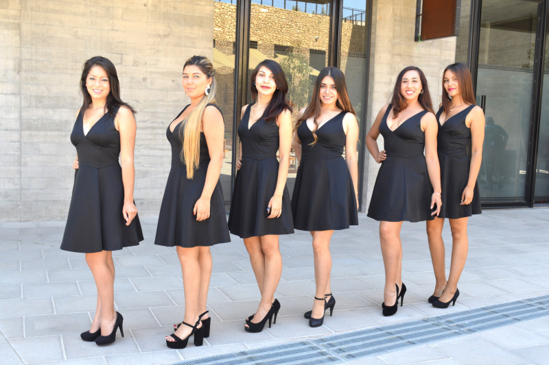 Candidatas, Ovalle, Fiesta Vendimia