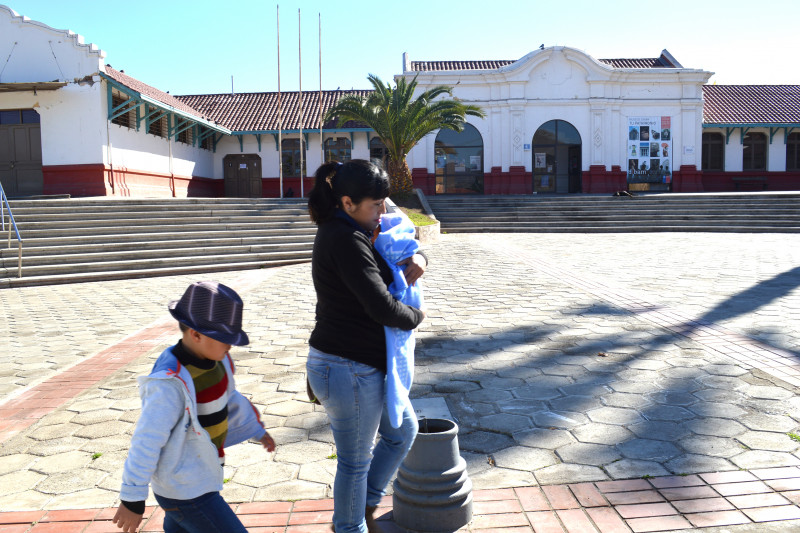 Museo Limarí, Ovalle