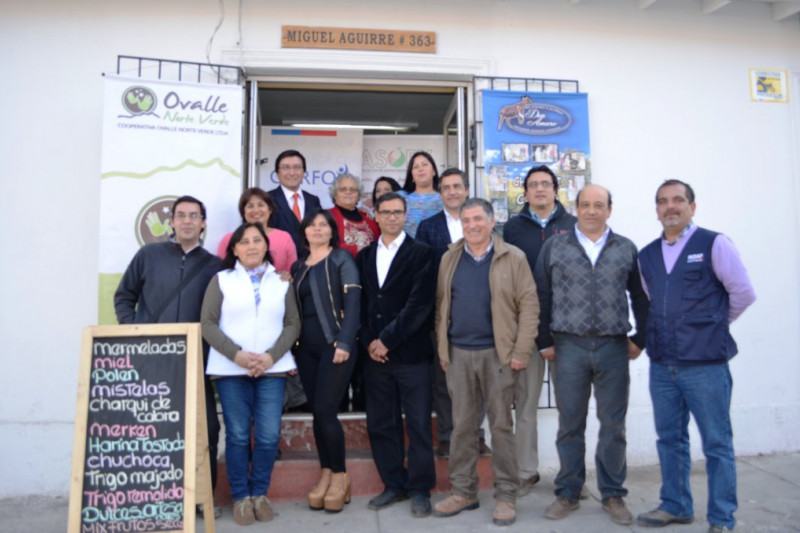 Emprendedores de la Provincia de Limarí unen fuerzas mediante la creación de cooperativa