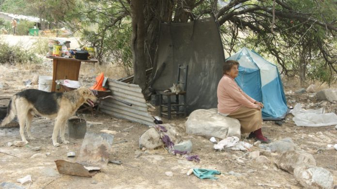 Anciana pernocta bajo un árbol luego del terremoto 16-S