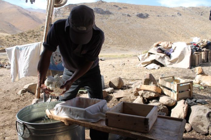 En medio de los estragos  de la sequía, mundo rural conmemora su día