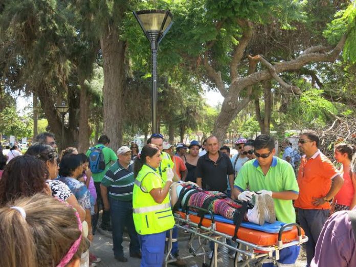 Rama de árbol aplasta a joven sentada en la Plaza de Armas