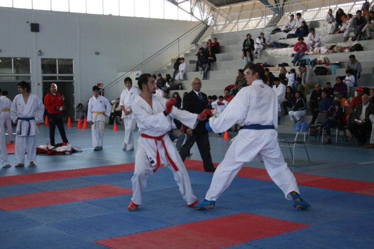 Cristóbal Chacón gana torneo de karate de colegio Amalia Errázuriz