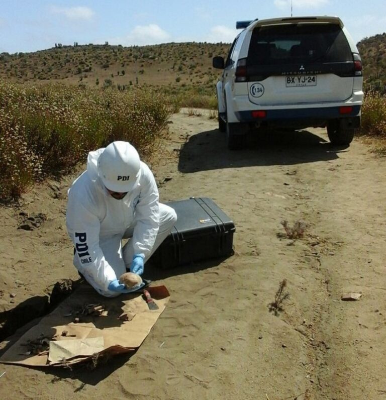 Encuentran osamentas humanas  en localidad rural de Alcones Alto