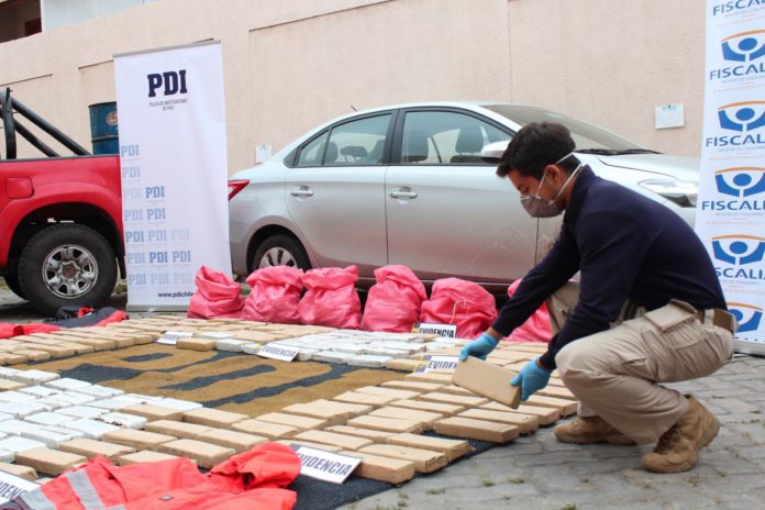 PDI incauta casi 200 kilos de marihuana en manos de ovallinos