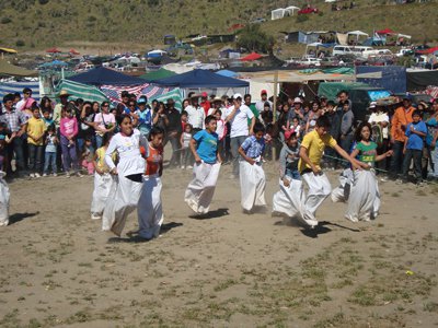 Tradicional Pampilla de Punitaqui es suspendida