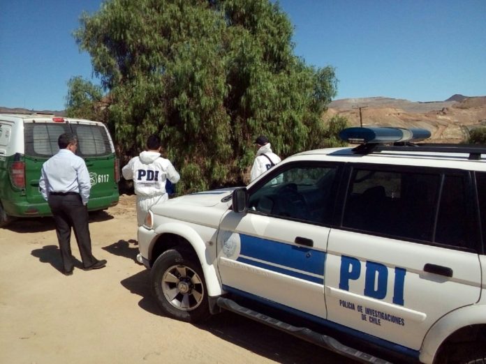 Roban paneles solares para regadío a pequeño agricultor