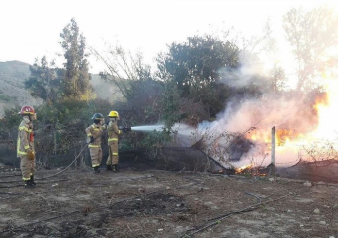 Reiterados incendios en el bosque de La Chimba serían provocados