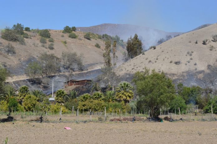 Acusan a ciber ovallinos de adjudicarse incendios forestales en la zona