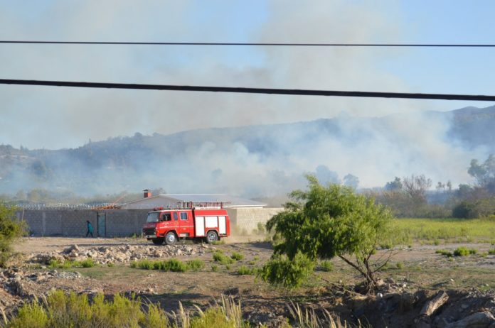 Por más de 3 horas ardió incendio  de pastizales  