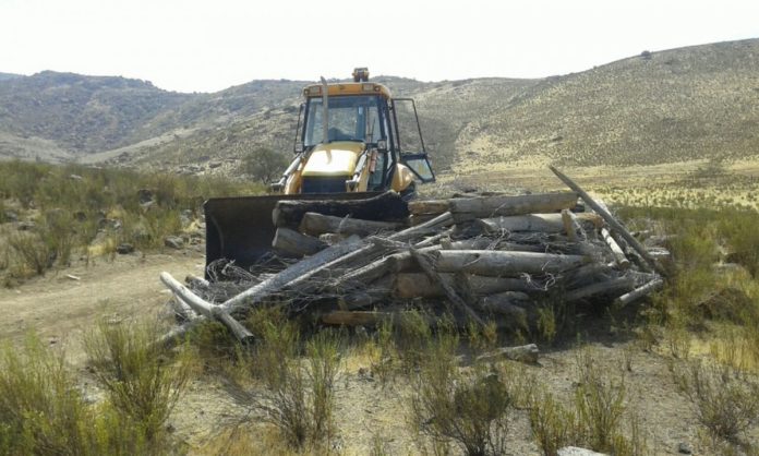 Derriban y destrozan cercos a comuneros  del  Maitencillo en Punitaqui