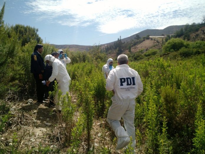 Encuentran cadáver en la ribera del río Limarí