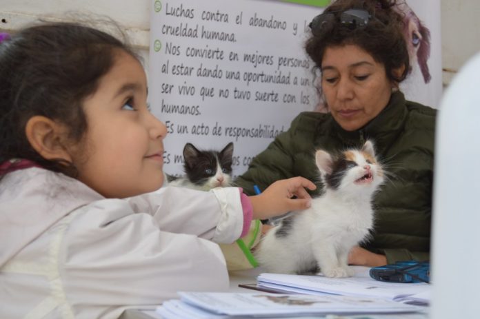 Con éxito finaliza jornada de adopción de mascotas