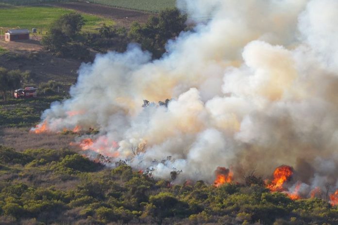 Gigantezco incendio en Ovalle: 60 hectáreas resultaron dañadas en quebrada El Ingenio