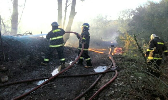 Bomberos logra impedir que fuego en pastizales afecte a vivienda