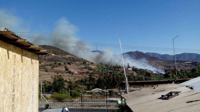 Incendio de pastizales arrasa viviendas en Potrerillos Bajos