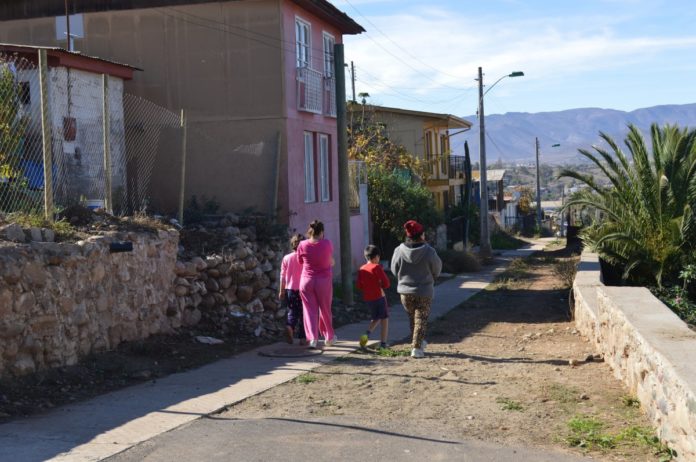 Vecinos acusan masiva matanza de mascotas