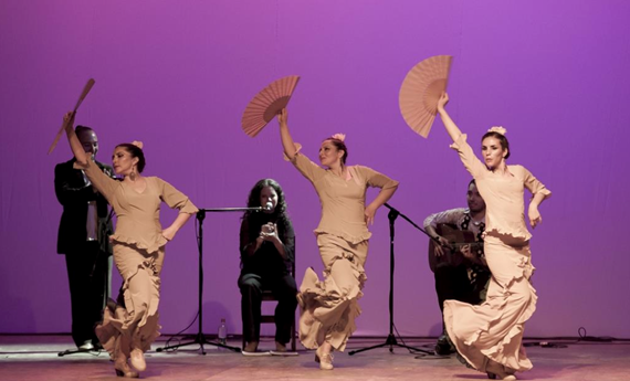 El flamenco llega al Limarí