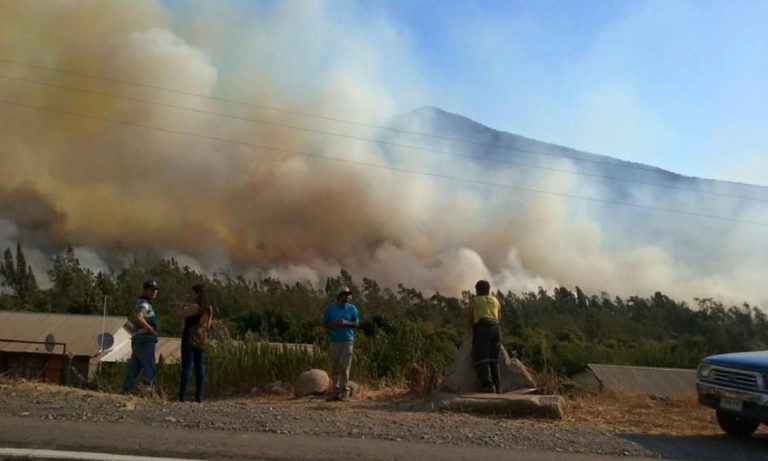 Conaf y bomberos apagan indencio forestal de dos días