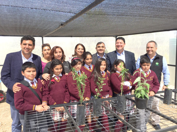 Flora Nativa, colegio Teresita de Los Andes, Punitaqui