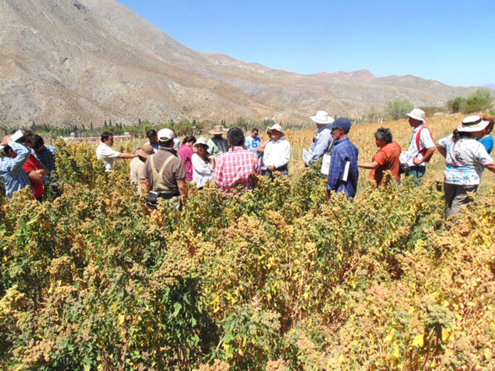 Quinoa, Rio Hurtado, CEAZA