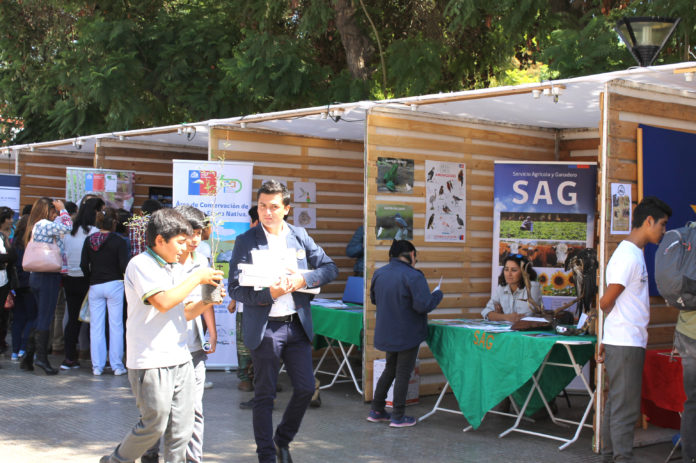 feria ecológica, Ovalle