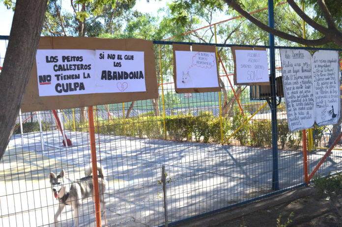 perros, Villa El Ingenio