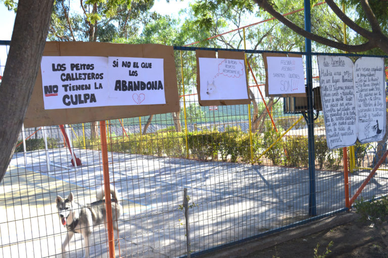 perros, Villa El Ingenio