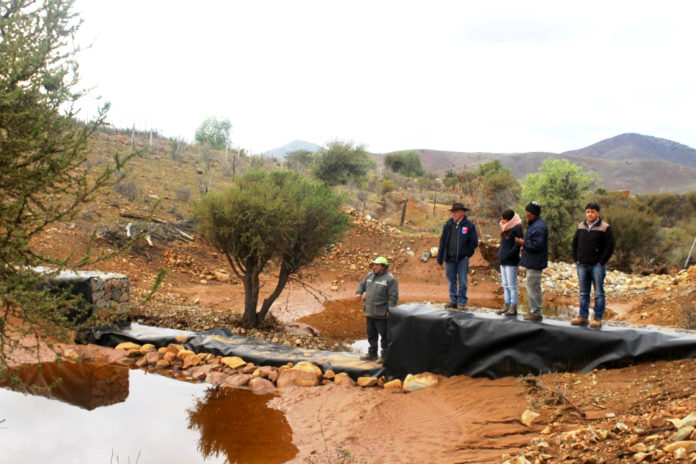 Productores y profesionales de INDAP observaron en terreno los resultados del proyecto de implementación de cortinas receptoras de aguas lluvia.