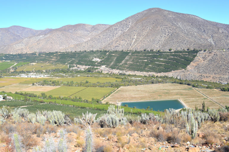 En el valle de Monte Patria también se celebrará esta importante fecha para apreciar el valor de nuestra historia.