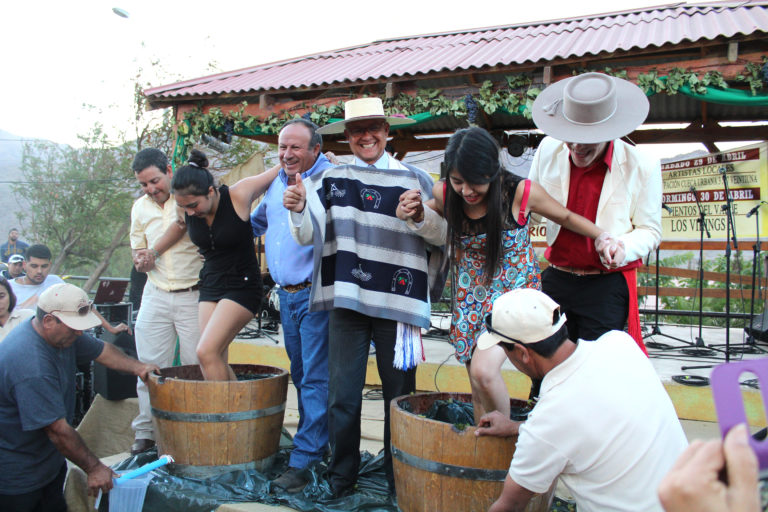 La Fiesta de la Vendimia se ha transformado en una de las festividades más grandes de la comuna de Río Hurtado.