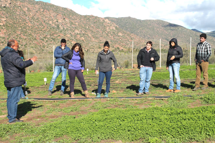 Clases teóricas y prácticas fueron parte de la jornada de capacitación organizada por INIA e INDAP en vista a impulsar la productividad de leche caprina.