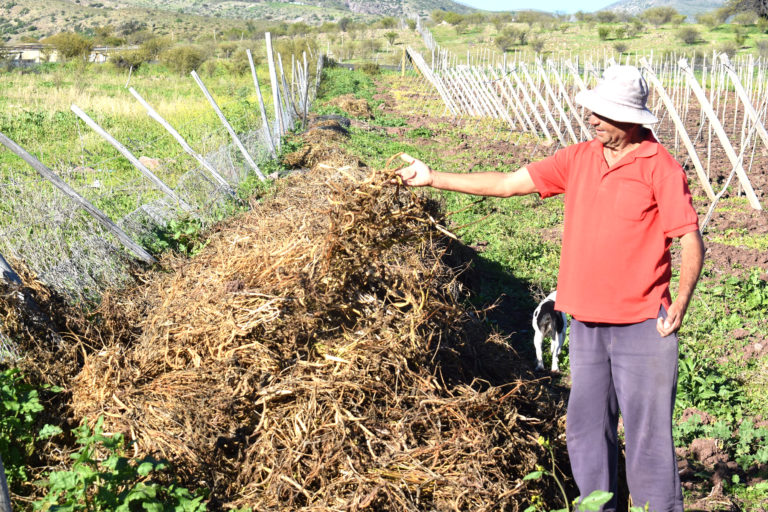 Cultivos quemados por el paso de las heladas, fueron parte de las consecuencias dejadas por el paso de este fenómeno meteorológico en algunos sectores de la provincia.