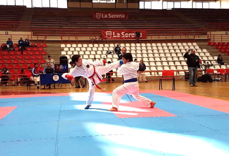 Los karatecas del colegio Amalia Errázuriz y club Yamaguchi desplegaron sus mejores golpes.