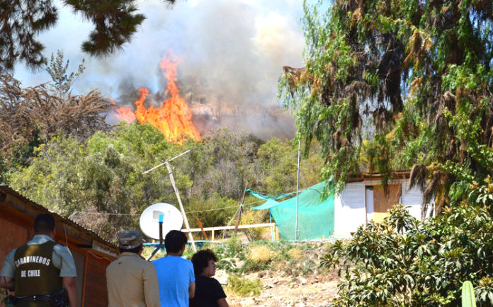 Varios fueron los incendios de gran envergadura que se combatieron durante la temporada de verano en la comuna de Ovalle.