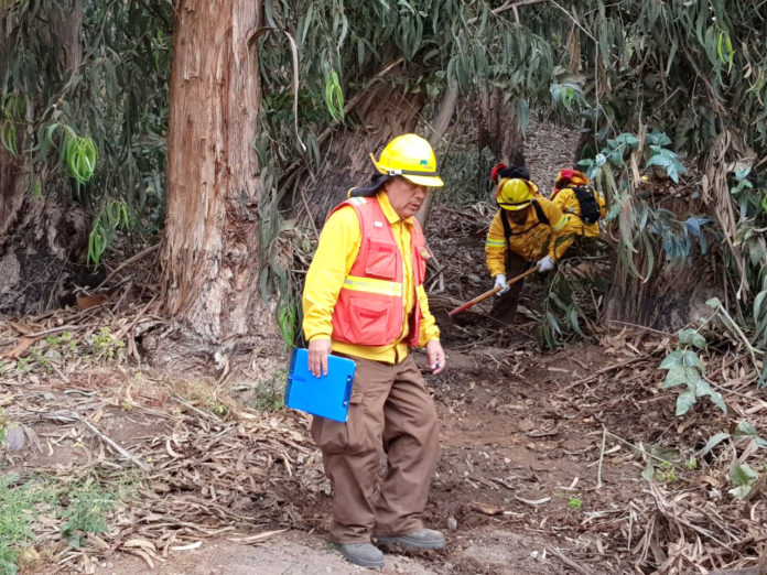 Las brigadas forestales de Conaf ya se encuentran trabajando para enfrentar una de las temporadas más críticas en materia de incendios.