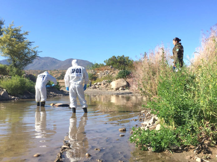 En Ovalle el cuerpo de Emilio Castro Labarca fue encontrado en la ribera del río Limarí.