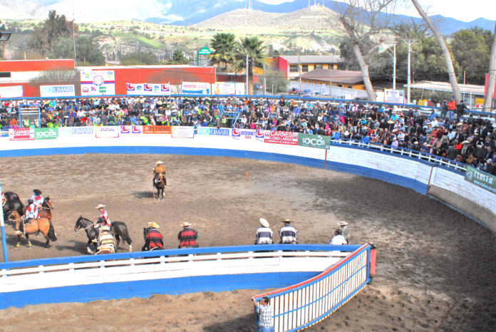 Colleras desde la región de Atacama hasta la región de O’Higgins arribarán a Ovalle para ser parte de este certamen, un imperdible para los amantes del rodeo.