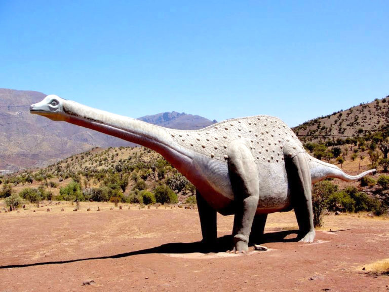 Hasta el lunes el Monumento Natural Pichasca en Río Hurtado no cobrará entrada a los visitantes.