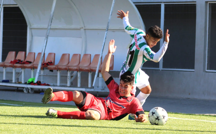 Provincial Ovalle enfrentará a un descendido equipo.