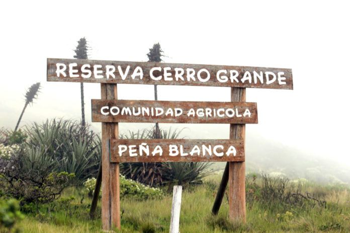 Aquel día, la neblina se hizo presente con fuerza. Opacando así la función del mirador hacia el sector costero. Foto: Felipe López