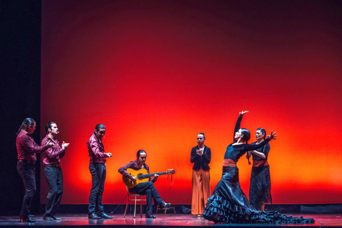 ‘La Extranjera’ se estrenó en octubre del 2015 en el centro cultural Conde Duque, posteriormente se presentó en Londres, el GAM y el Teatro Municipal de Santiago.