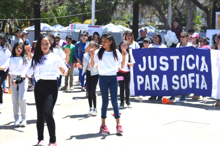 Varios números artísticos se realizaron en la plaza de Armas de Ovalle. Foto: Romina N.