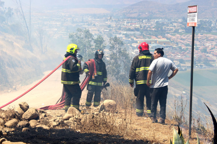 Gran parte de los incendios acontecidos durante los últimos años han sido producidos por acción de terceras personas.