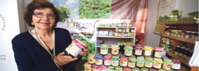 Berta Díaz es una pequeña agricultora de la comuna de Combarbalá, quien desde hace 10 años, se dedica a la elaboración de mermeladas y otros productos.