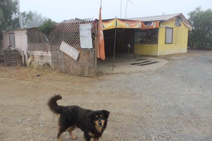 Cerrado desde hace varios meses lleva “La Tía Irene”, local de comida al paso ubicado al inicio de la Cuesta Las Cardas, en el límite interprovincial de Elqui y Limarí. Este negocio fue quizás el primero que resultó afectado con el avance de las obras de la doble vía.