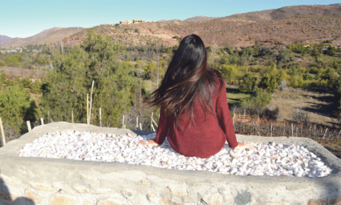 En la comuna de Río Hurtado, se haya el Complejo Turístico Las Nietas, en donde destacan las llamadas “camas de cuarzo”, especialmente construidas para servir como terapia para aliviar los síntomas de enfermedades neurológicas.